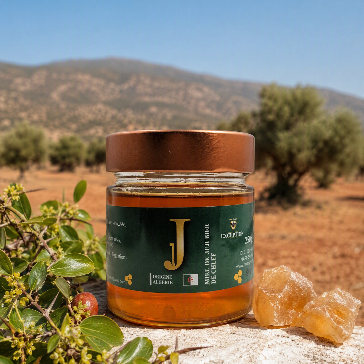 Miel de Jujubier de Chlef