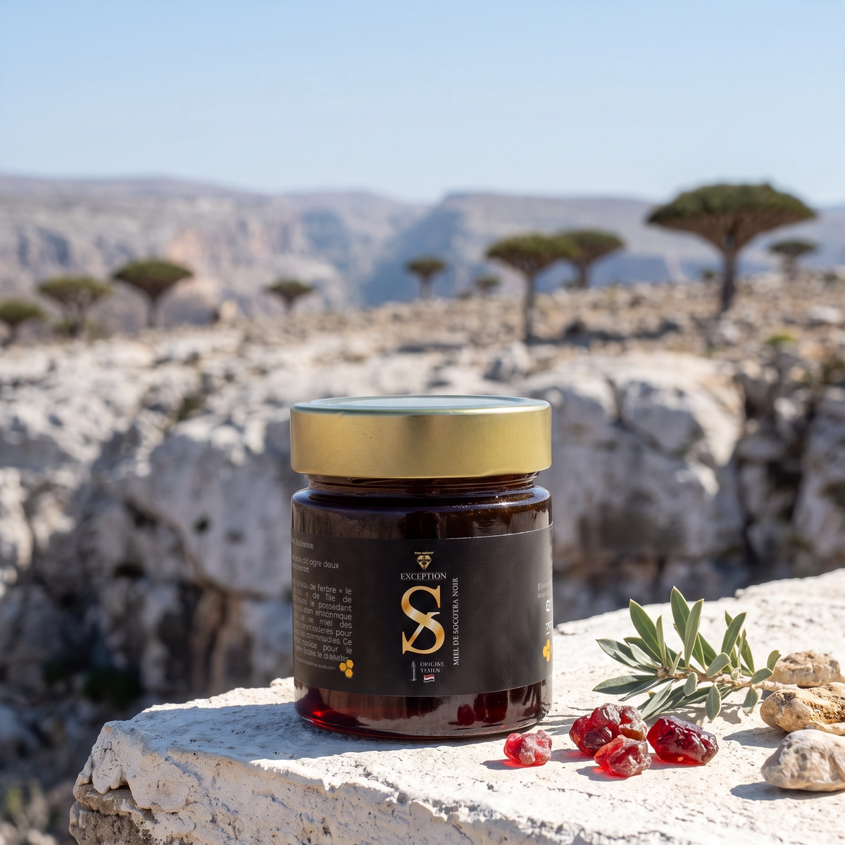 Miel de Socotra Noir