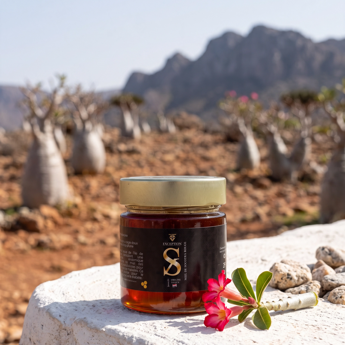 Miel de Socotra Rouge