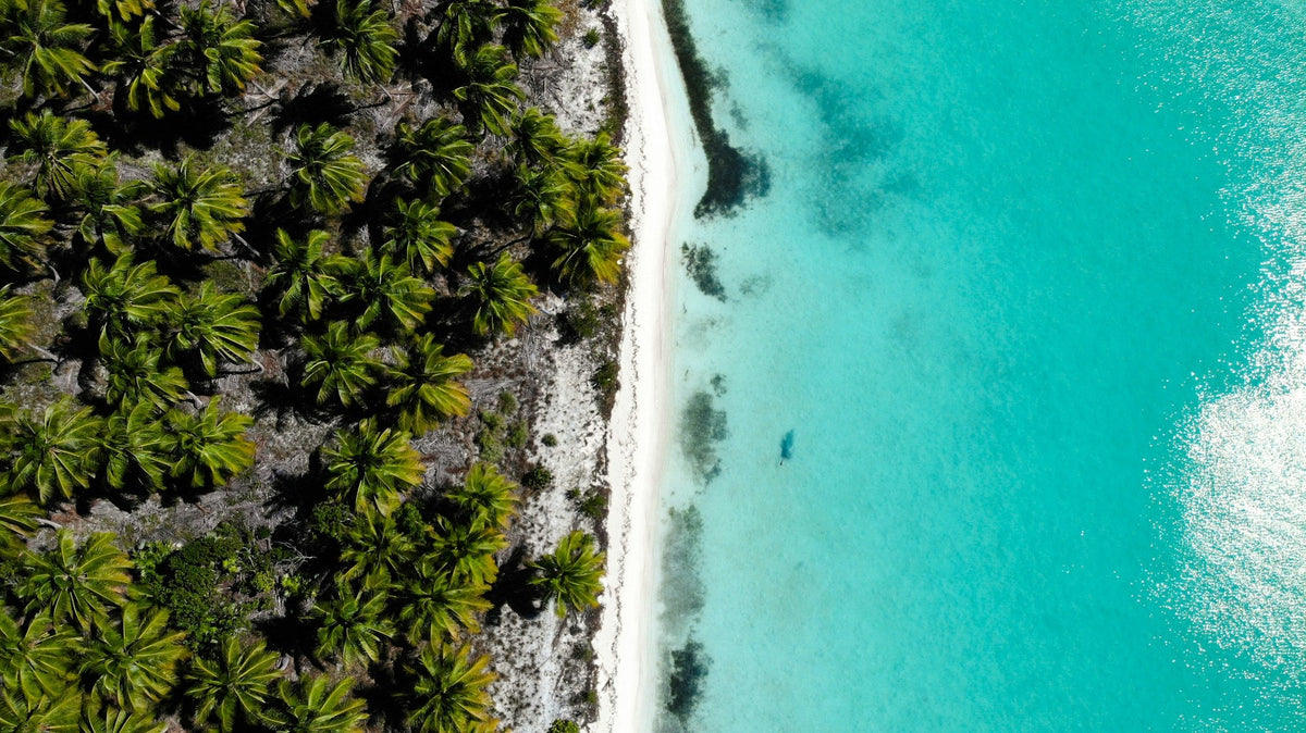 Miels des Îles