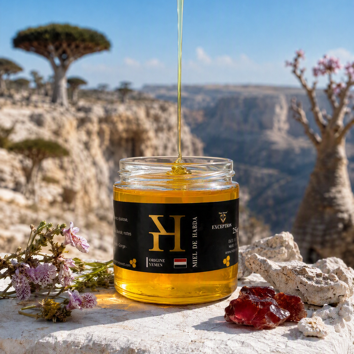 Miel de Habda