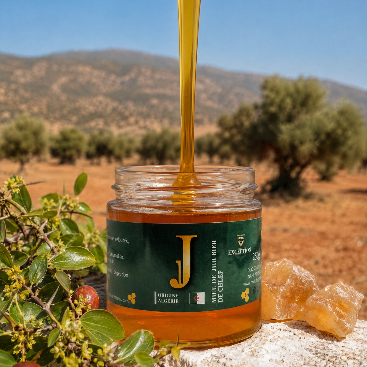 Miel de Jujubier de Chlef