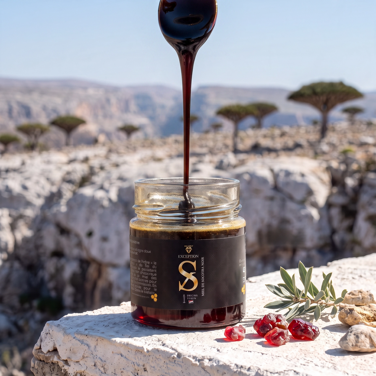 Miel de Socotra Noir